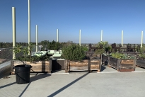 33. Rooftop