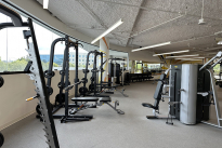 43. Gym