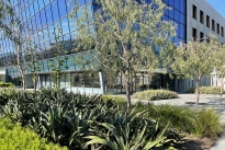 10. Exterior