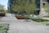 18. Exterior