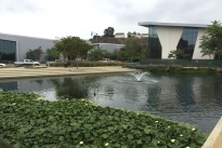 8. Exterior