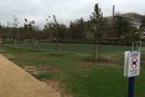 52. Soccer Field