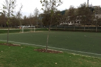 53. Soccer Field