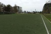 54. Soccer Field