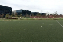 58. Soccer Field