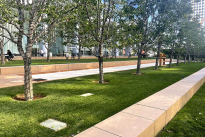 45. Bocce Ball