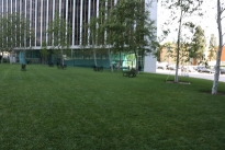 43. Exterior Plaza