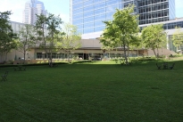 44. Exterior Plaza