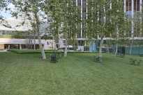 50. Exterior Plaza
