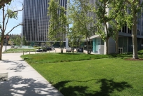 42. Exterior Plaza