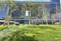 33. Exterior Plaza