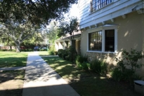30. The Grounds