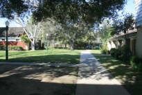 75. The Grounds