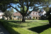8. The Grounds