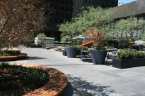 29. Plaza