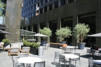 41. Plaza