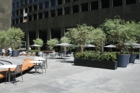 30. Plaza