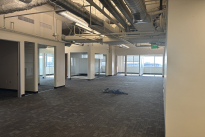 113. Suite 504