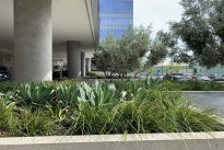 14. Exterior