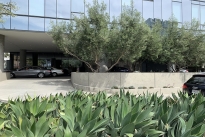 13. Exterior