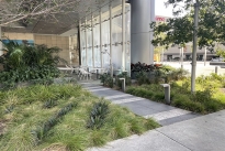 21. Plaza