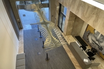 46. Lobby 300 Bldg.