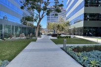 24.  Plaza