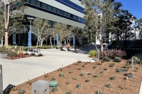 30. Plaza