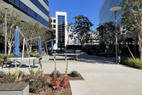 31. Plaza