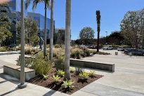 29. Plaza