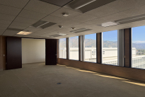 202. 225 Bldg. Suite 1250