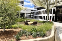 36. Plaza