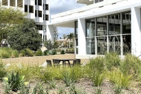 21. Plaza