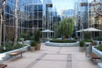 Maple Plaza