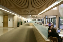 4900 Rivergrade