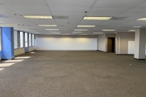 181. Suite 2624