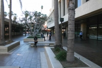 21. Rear Plaza