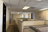 81. Suite 990