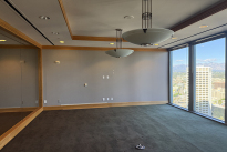 213. Suite 3825