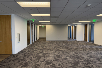 219. Suite 4200
