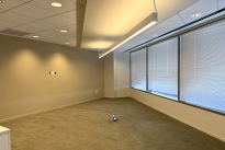 229. Suite 4625