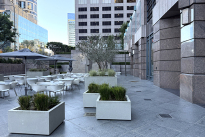 19. Plaza