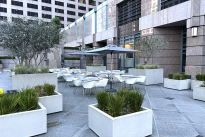 18. Plaza