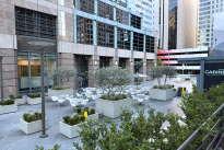 17. Plaza