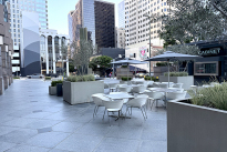 15. Plaza