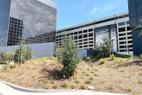 9. Exterior