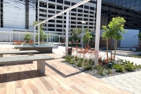15. Plaza