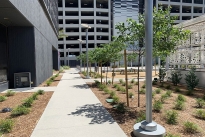 21. Plaza