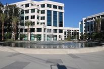 Water Garden