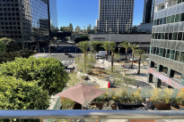 117. Plaza